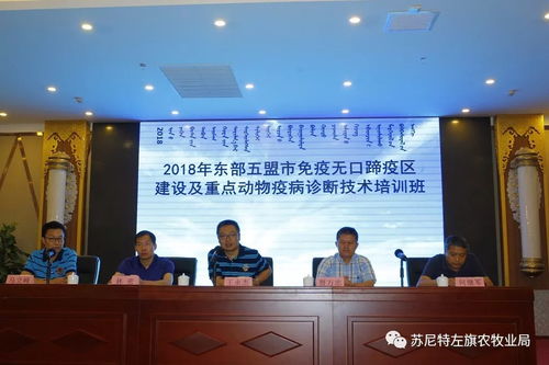 2018年?yáng)|部五盟市免疫口蹄疫區(qū)建設(shè)及重點(diǎn)動(dòng)物疫病診斷技術(shù)培訓(xùn)及生物防治技術(shù)開(kāi)發(fā)服務(wù)總結(jié)